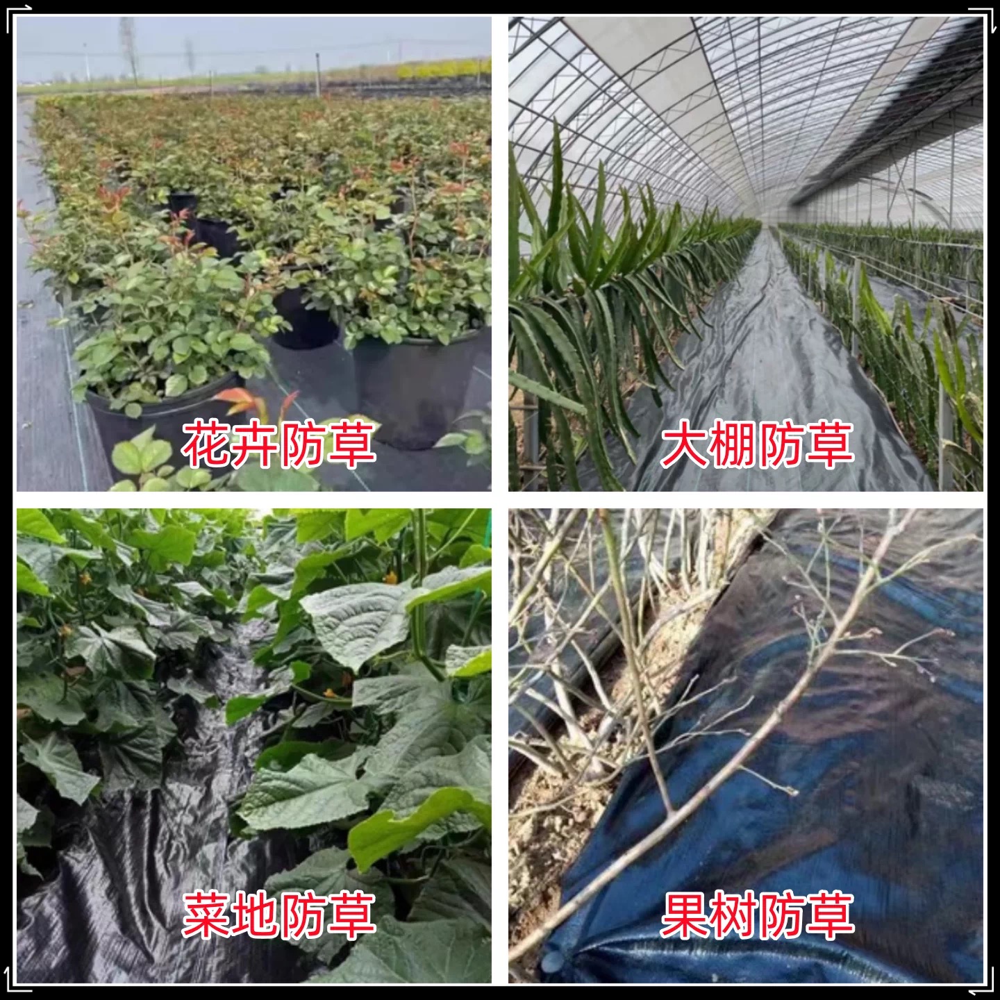 咸宁市黑白养殖膜防草布 - 厂家