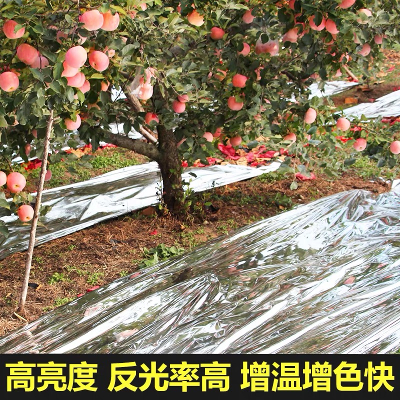 咸宁市货车苫盖膜果树反光膜 - 方案